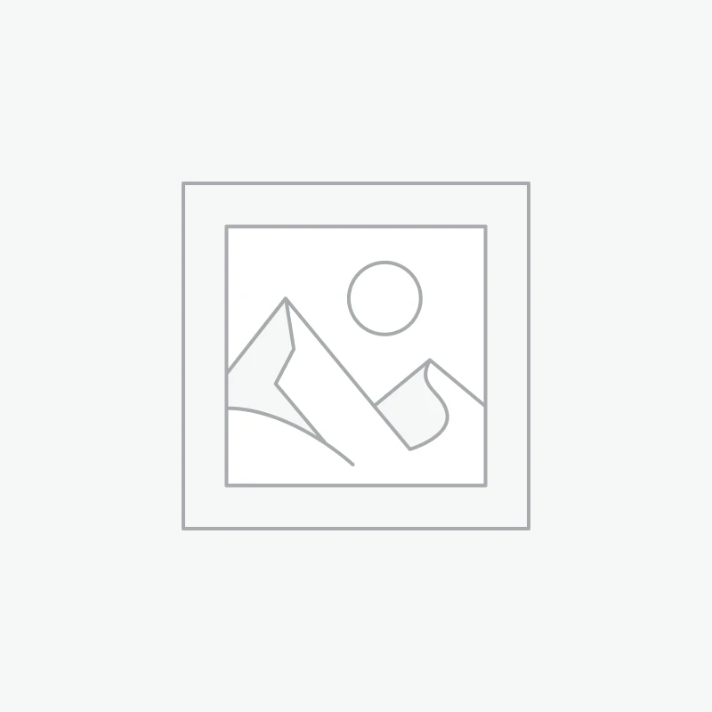 Питерский котик