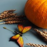 Брошь бабочка