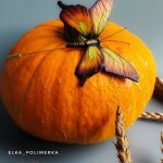 Брошь бабочка