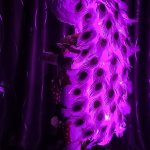 Фигура Павлина со светящимся хохолком и хвостом