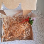 Цветочная луковица Мандрагора Геацинтовна