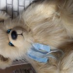 Мишка интерьерный