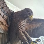 Фигура орла из фоамирана