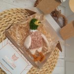 Селезень Афанасий