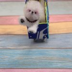 Вязаная миниатюрная игрушка Бишончики с корзинкой и сумкой-переноской