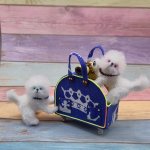 Вязаная миниатюрная игрушка Бишончики с корзинкой и сумкой-переноской