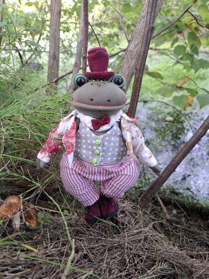 Лягушки тэдди