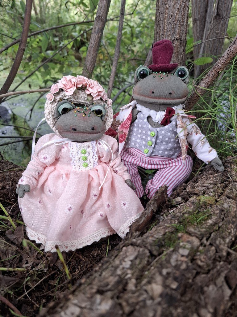 Лягушки тэдди