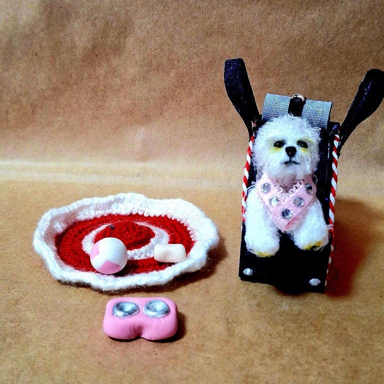 Собачка бишон-фризе