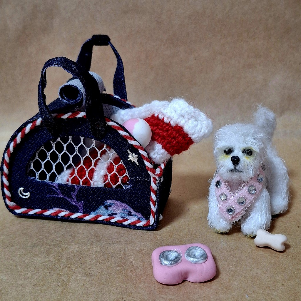 Собачка бишон-фризе