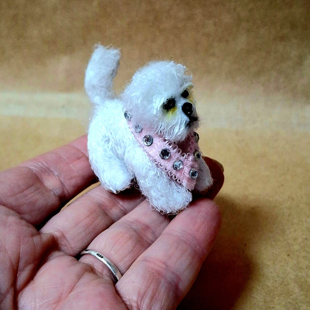 Собачка бишон-фризе