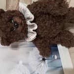 Мишка интерьерный