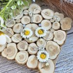 Комплект бижутерии «Ромашки&черепа «