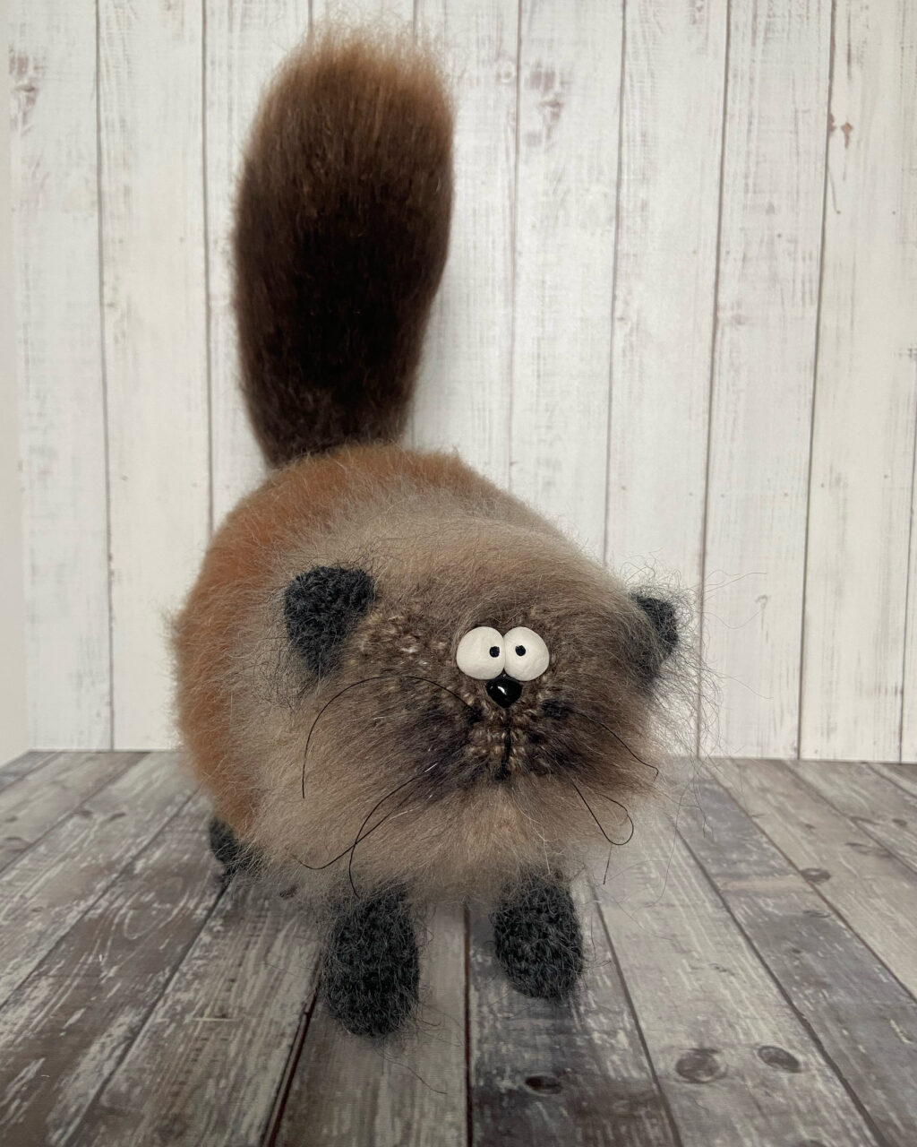 Кот «Элвис»