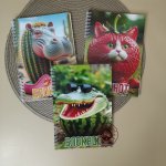 Блокнот в клетку с итальянскими мемами