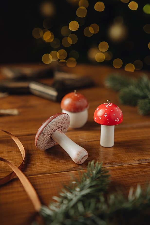 Набор ёлочных игрушек «Грибы»