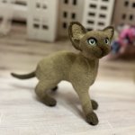 Котенок ориентал. Фигурка из шерсти