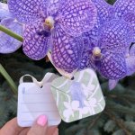 Открытка — бирка