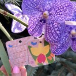 Открытка — бирка