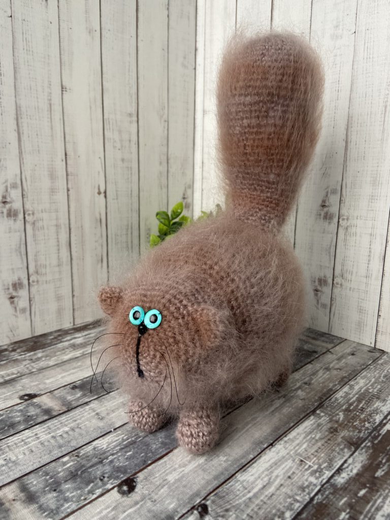 Кот «Шоколад»