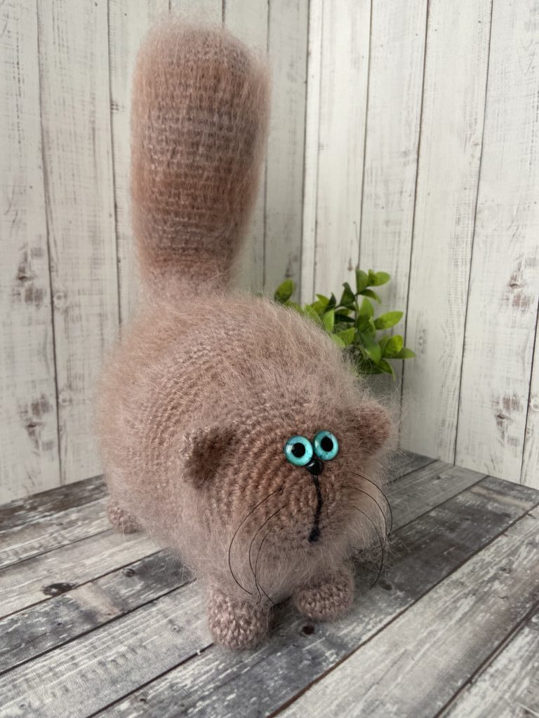 Кот «Шоколад»