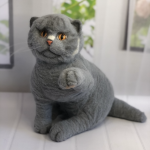 Кот Матвей. Интерьерная игрушка из шерсти