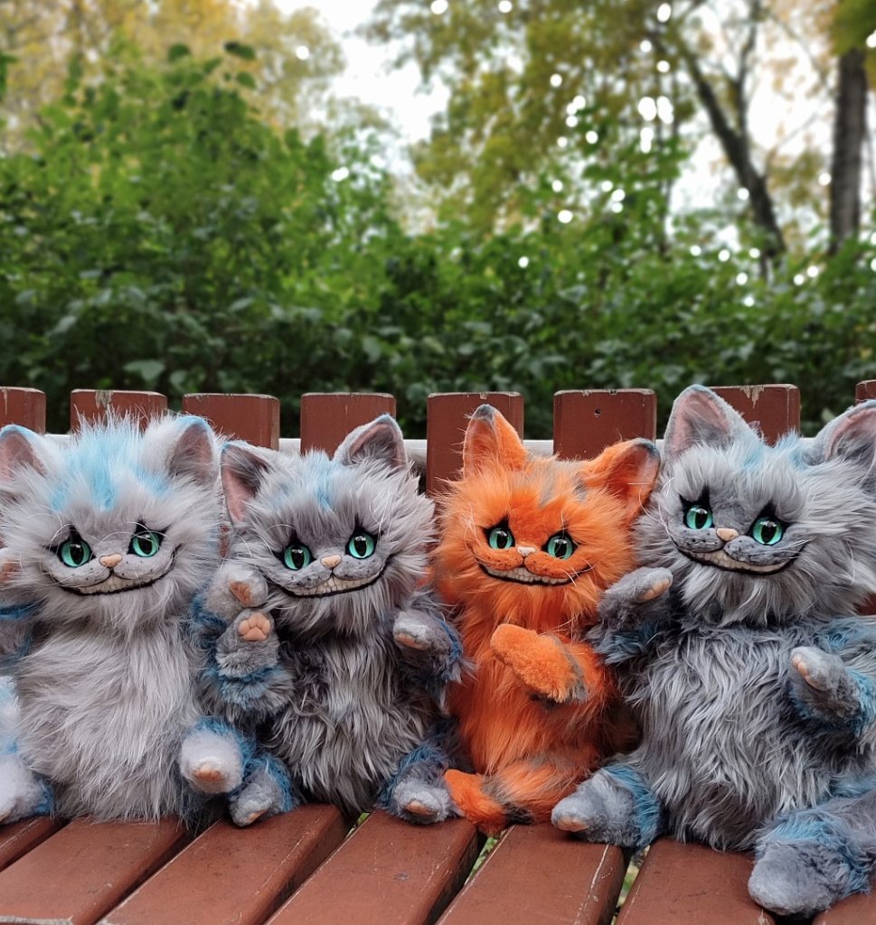 Чеширы для примера)