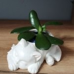Кашпо декоративное Кошечка