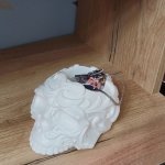Кашпо Череп