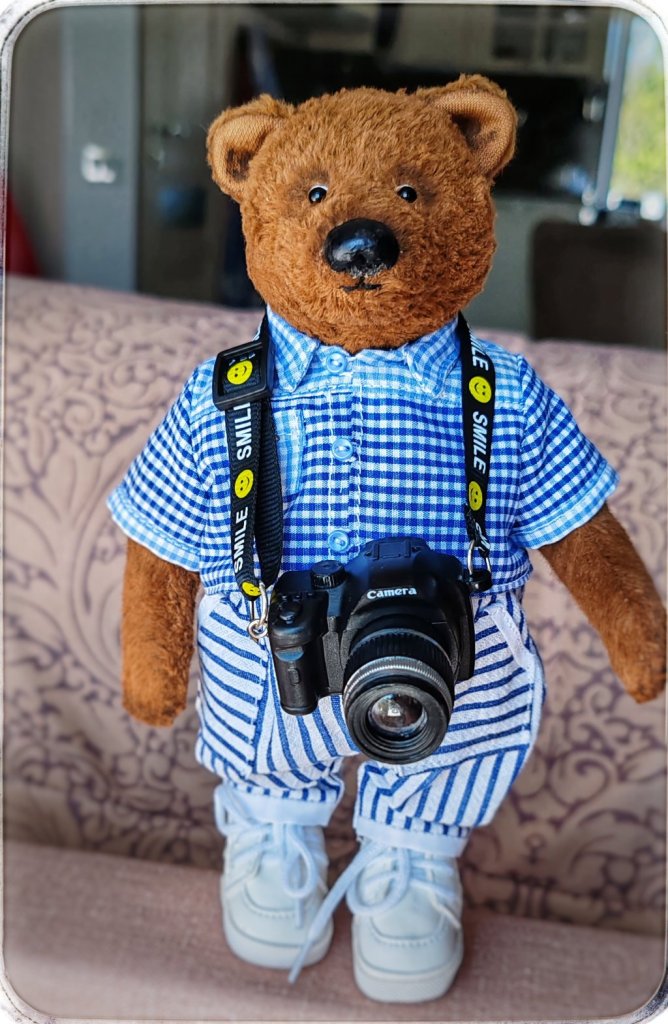 Мишка Тедди ручной работы — фотограф!