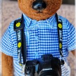 Мишка Тедди ручной работы — фотограф!