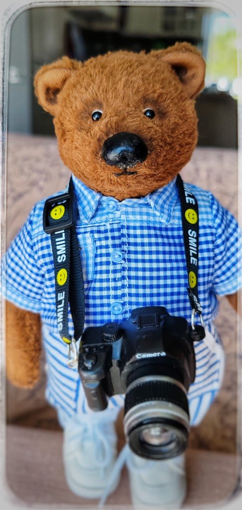 Мишка Тедди ручной работы — фотограф!