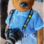 Мишка Тедди ручной работы — фотограф!