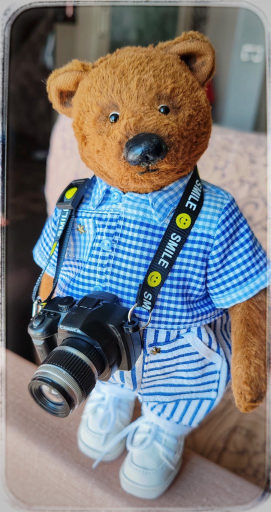 Мишка Тедди ручной работы — фотограф!