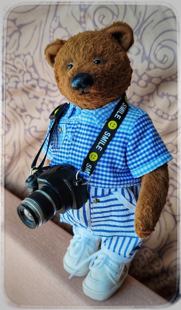 Мишка Тедди ручной работы — фотограф!