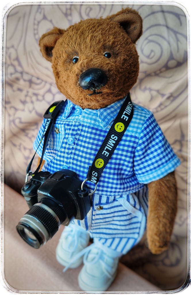 Мишка Тедди ручной работы — фотограф!