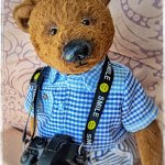 Мишка Тедди ручной работы — фотограф!