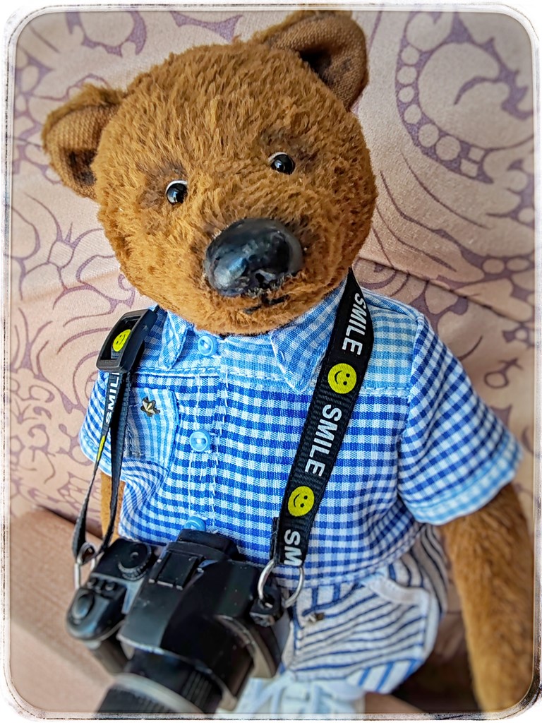 Мишка Тедди ручной работы — фотограф!