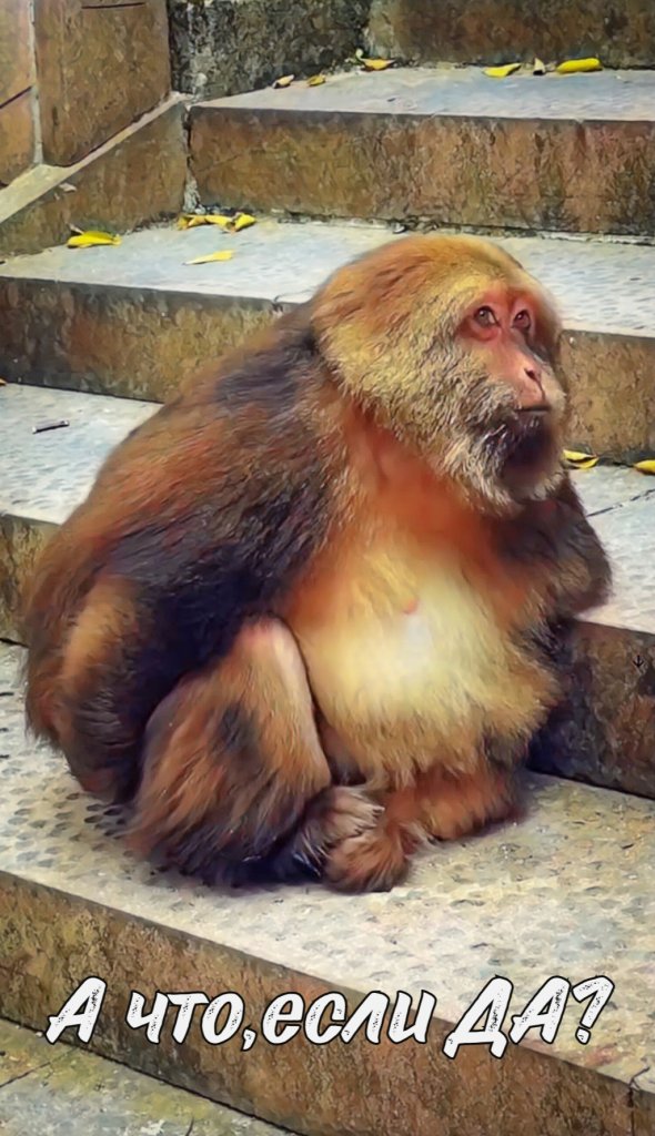 Винтажный Брелок мотивация обезьяна Синсин «А что,если ДА?»