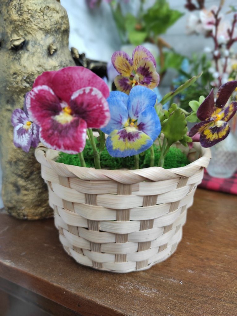 Анютины глазки