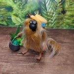 Коты-огородники