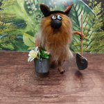 Коты-огородники