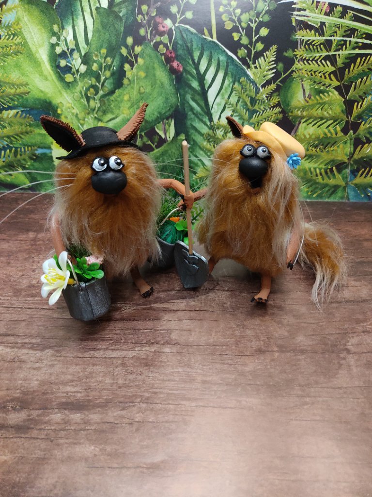 Коты-огородники