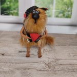 Сувенирные коты в ассортименте