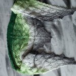 Шаль-бактус