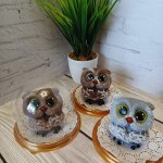 Совушки в куполе из мыла