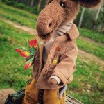 Влюбчивый лось