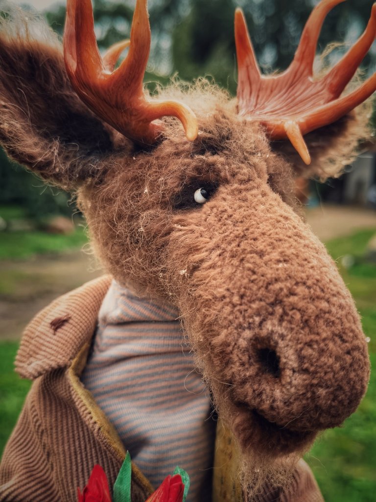 Влюбчивый лось