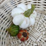 Тыква декоративная из холодного фарфора