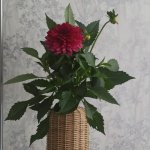 Ваза для цветов.